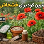 بهترین کود برای خشخاش