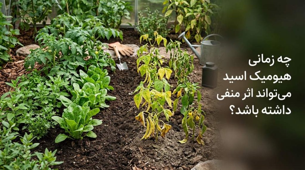 چه زمانی هیومیک اسید می‌تواند اثر منفی داشته باشد؟