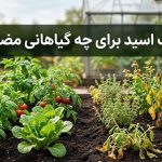 هیومیک اسید برای چه گیاهانی مضر است؟