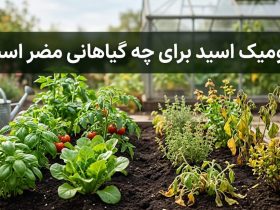 هیومیک اسید برای چه گیاهانی مضر است؟