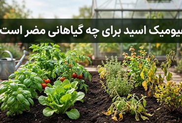 هیومیک اسید برای چه گیاهانی مضر است؟
