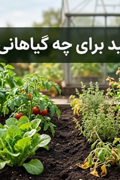 هیومیک اسید برای چه گیاهانی مضر است؟