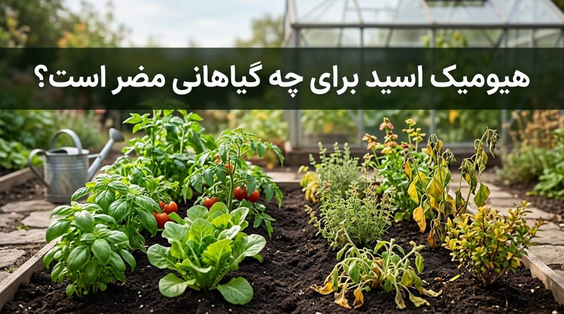 هیومیک اسید برای چه گیاهانی مضر است؟